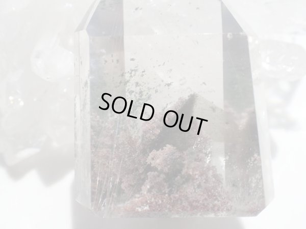 画像11: ミネラル讃歌　Ｐｒｅｍｉｕｍ　ガーデンファントム&ルチルインクォーツ　磨き石　特価