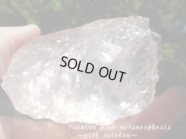 画像2: Premium pink metamorphosis with rainbow　特価