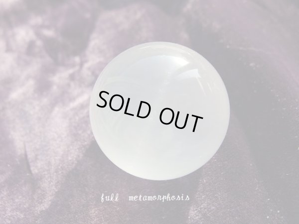 画像10: full of metamorphosis　　特価