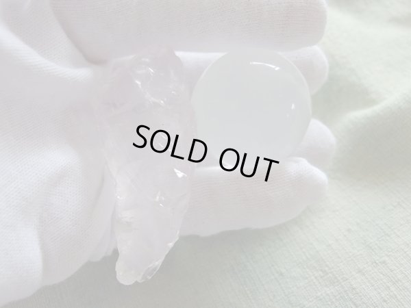 画像19: full of metamorphosis　　特価