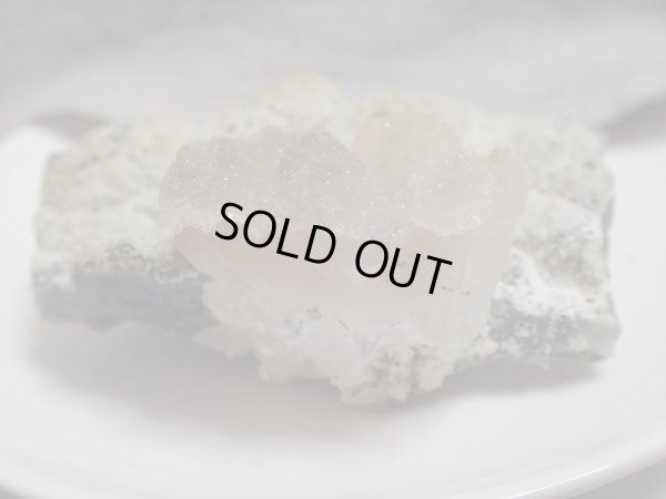 画像12: 「カルセドニー華」　特価