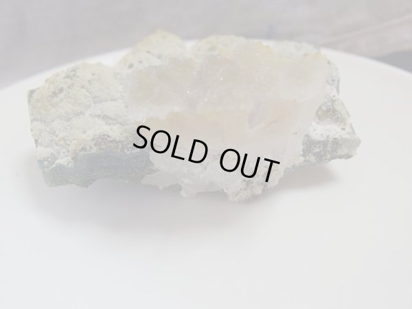 画像7: 「カルセドニー華」　特価