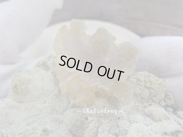 画像5: 「カルセドニー華」　特価