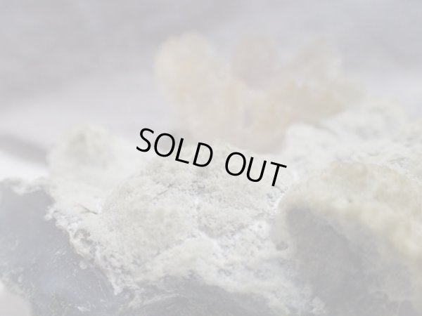 画像15: 「カルセドニー華」　特価