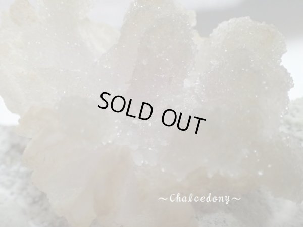 画像2: 「カルセドニー華」　特価