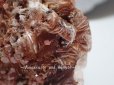 画像6: バナジン鉛鉱結晶on重晶石　　特価