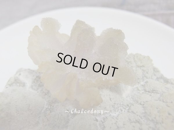 画像4: 「カルセドニー華」　特価