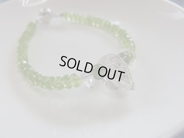 画像6: green planet 