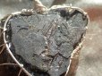 画像1: ルチルオンヘマタイト結晶原石　オリジナル　アーティスティックワイヤー　ペンダントトップ　パイライト　ヘマタイト共生結晶原石付 (1)