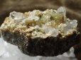 画像17: 希少　チタナイト　（スフェーン）　結晶原石　超特価