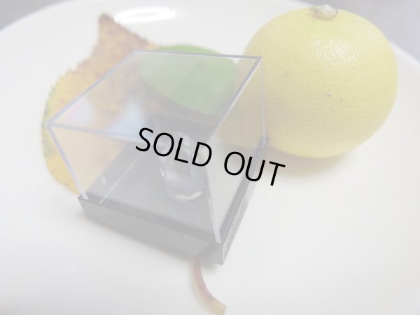 画像10: 特選　デュモルチェライトインクォーツ　MINIポイント　特価