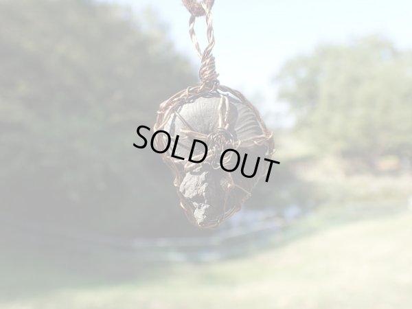 画像17: ギベオンとアンモナイトパイライト(ブラックルチル＆パイライト）　宇宙と海底　超守護金運特別ネックレス　特価