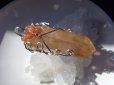 画像4: METAL ＆　STONE　　極美　天然オレンジ水晶　天然結晶とサンストーン