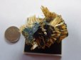 画像5: 特選　高品質　太陽タイチンルチル結晶原石　特価