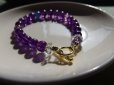 画像10: 紫聖　むらさきひじり　珠玉のタンザナイトと美しいアメジストの編　＊特価
