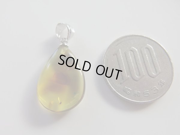 画像10: Premium　天然虫入り琥珀　ペンダントトップ　特価