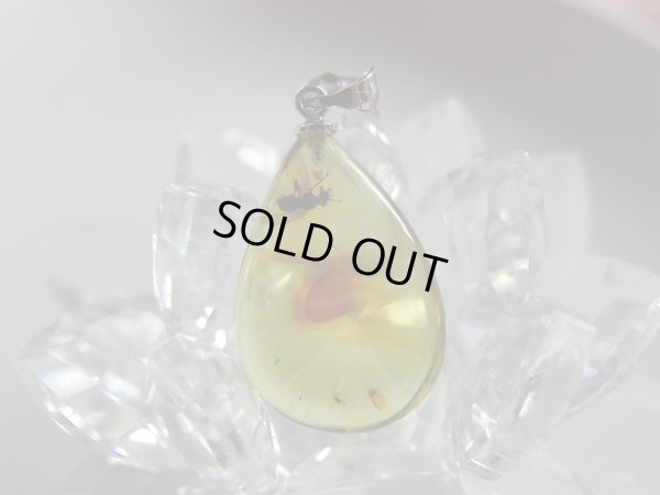 画像4: Premium　天然虫入り琥珀　ペンダントトップ　特価