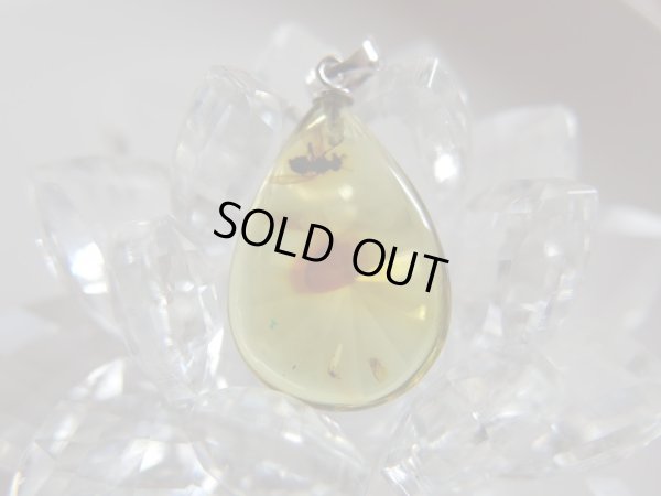 画像6: Premium　天然虫入り琥珀　ペンダントトップ　特価