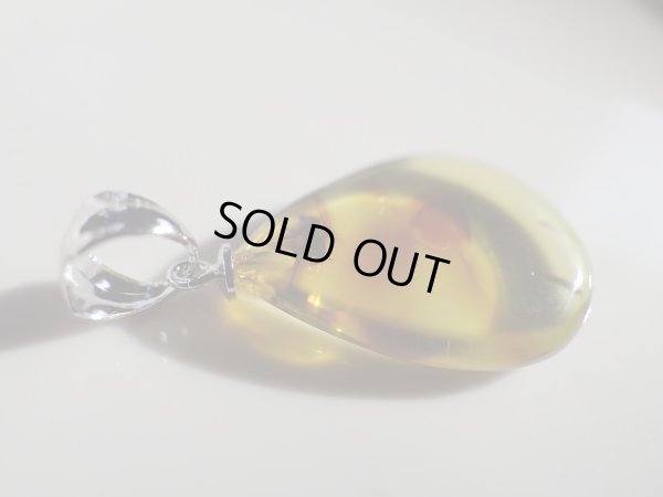 画像9: Premium　天然虫入り琥珀　ペンダントトップ　特価