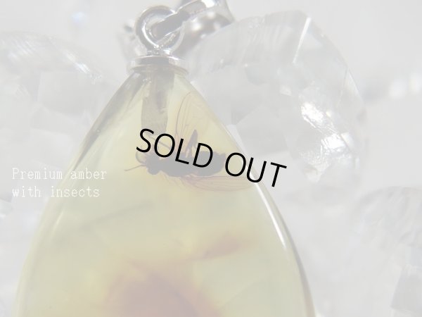 画像2: Premium　天然虫入り琥珀　ペンダントトップ　特価