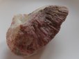 画像8: リチアトルマリン　結晶原石　放出特価