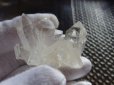 画像9: 美しいヒマラヤ産ミニ水晶クラスター
