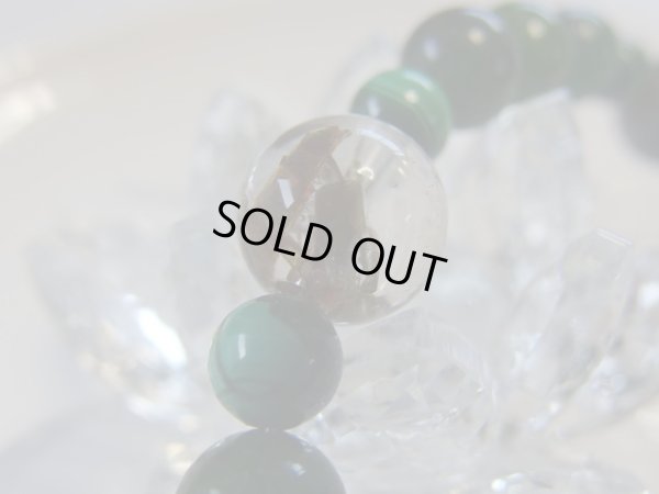 画像7: ＩＮＴＯ　ＴＨＥ　ＷＩＬＤ　特価