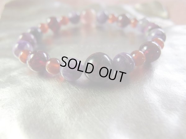 画像8: 菩薩　赤紫　特価　