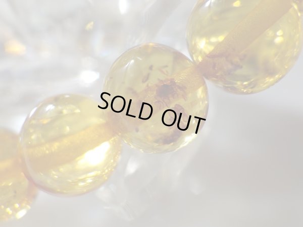 画像10: 天然アンバー　　約８．５ミリ　最大９ミリ　特価