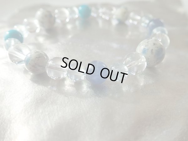 画像19: 青地球　aotama 特価　