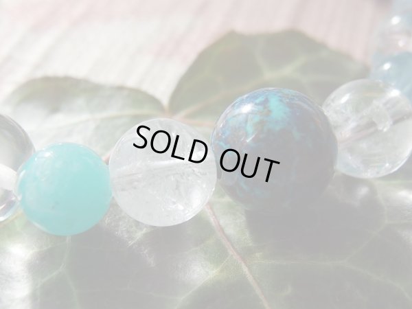 画像13: 青地球あおたま　ＢＬＵＥ　ＥＡＲＴＨ　