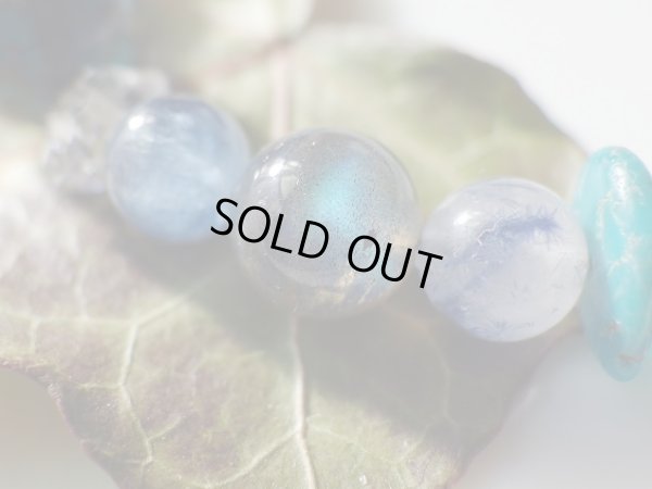 画像10: 青地球あおたま　ＢＬＵＥ　ＥＡＲＴＨ　