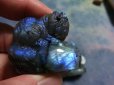 画像1: 　青の閃光らぶらど　チンチラ猫 (1)