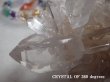 画像18: 特級品　アーカンソー州原産　クラスター　「CRYSTAL　OF　360 degrees」裏ｍａｓｔｅｒ　of master