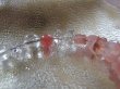 画像13:  幻石　カザフスタン原産ストロベリークォー石入り　「WILD　STRAWBERRY}」