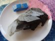 画像8: カルセドニー　玉髄原石　特価