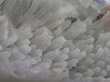 画像11: カルセドニー　玉髄原石　特価