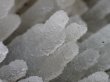 画像9: カルセドニー　玉髄原石　特価