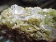画像5: 希少　チタナイト　（スフェーン）　結晶原石　超特価