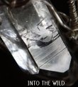 画像18: INTO　THE　WILD　☆　「THE　ROCK　CRYSTAL　地球と宇宙の間で」healer