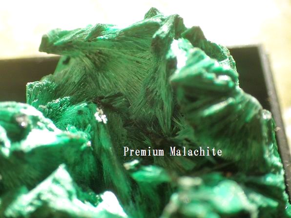 画像1: Premium　マラカイト　針状結晶　原石　 Feather of the peacock　特価